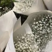 ｓａｙａの画像