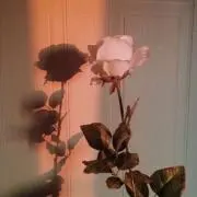 s@