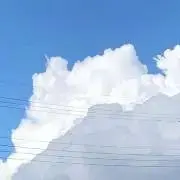 99の画像