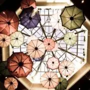 choco ※8/9-14発送✖の画像