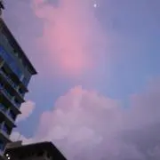 ポンポコぽんの画像