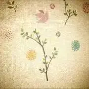 MiToの画像
