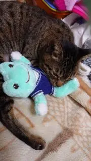 もみこの画像