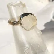 レモンサンドの画像