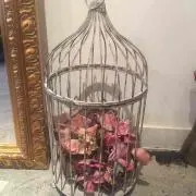 NANAの画像