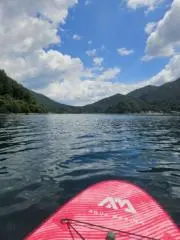 あんずの画像