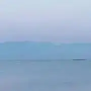 佳代の画像