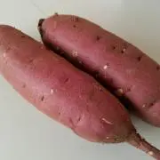 とうようの画像