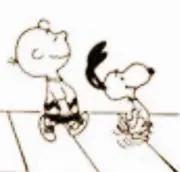 Pの画像