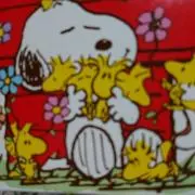 ピピこ