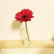 のん※プロフお読みくださいの画像