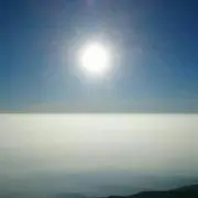 せれの画像