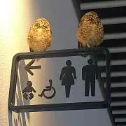 そらの画像