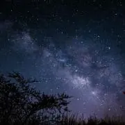 ちゃっぴー♪