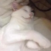 一郎