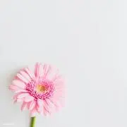 M♡プロフ必読の画像