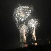 ねこちゃんぷりぷり