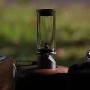 ワニの画像