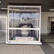 SSeamo