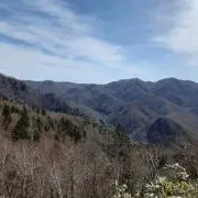 daichanの画像