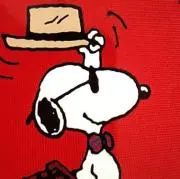 ミント♪ (・¨ ●)♥️プロフ必読❣️の画像