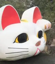 はてなんの画像