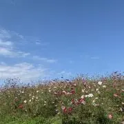 puruの画像