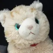 ごわの画像