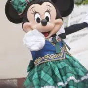 Ｃちゃんの画像