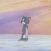 Pの画像
