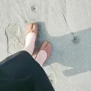 Li*の画像