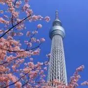 cbaの画像