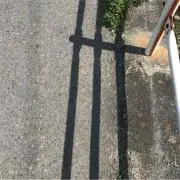 みの画像