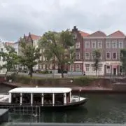 ✨️の画像