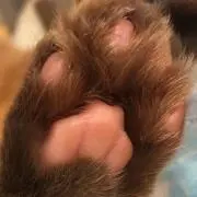 ☆☆☆の画像