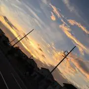 ゆずぽん
