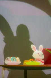 かれんの画像