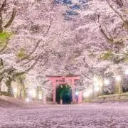 まろん