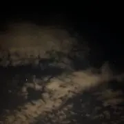 も