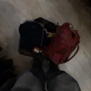 わんちゃんすいたいの画像