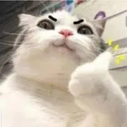 キーコ