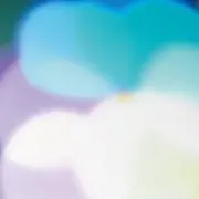 カナの画像