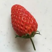いちごの画像