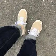 コヒツジの画像