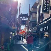 まめの画像