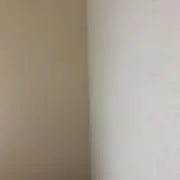 いかの画像