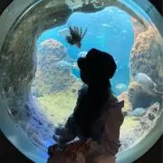 みなまる