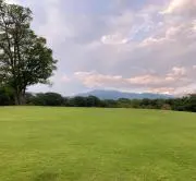 waniwaniの画像