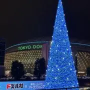 マカロンの画像