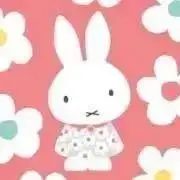 はかせの画像